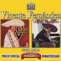 Vicente Fernez - La Fiesta (karaoke)