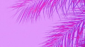 almost doesnt count专辑