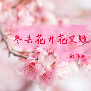 冬去花开花又败 【伴奏】 （升8半音）