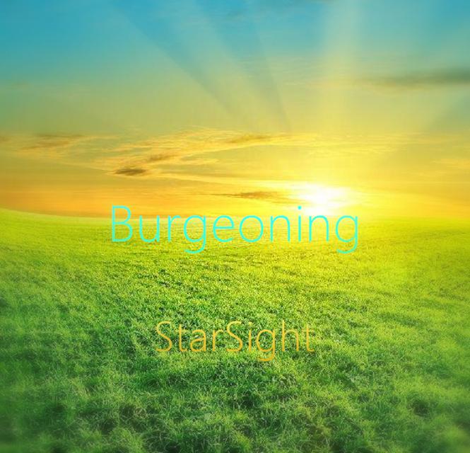 Burgeoning专辑