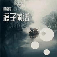 浪子闲话（dj伴奏）