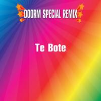 Te Bote AfroHouse Rey Remix