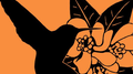 Orange Blossoms专辑