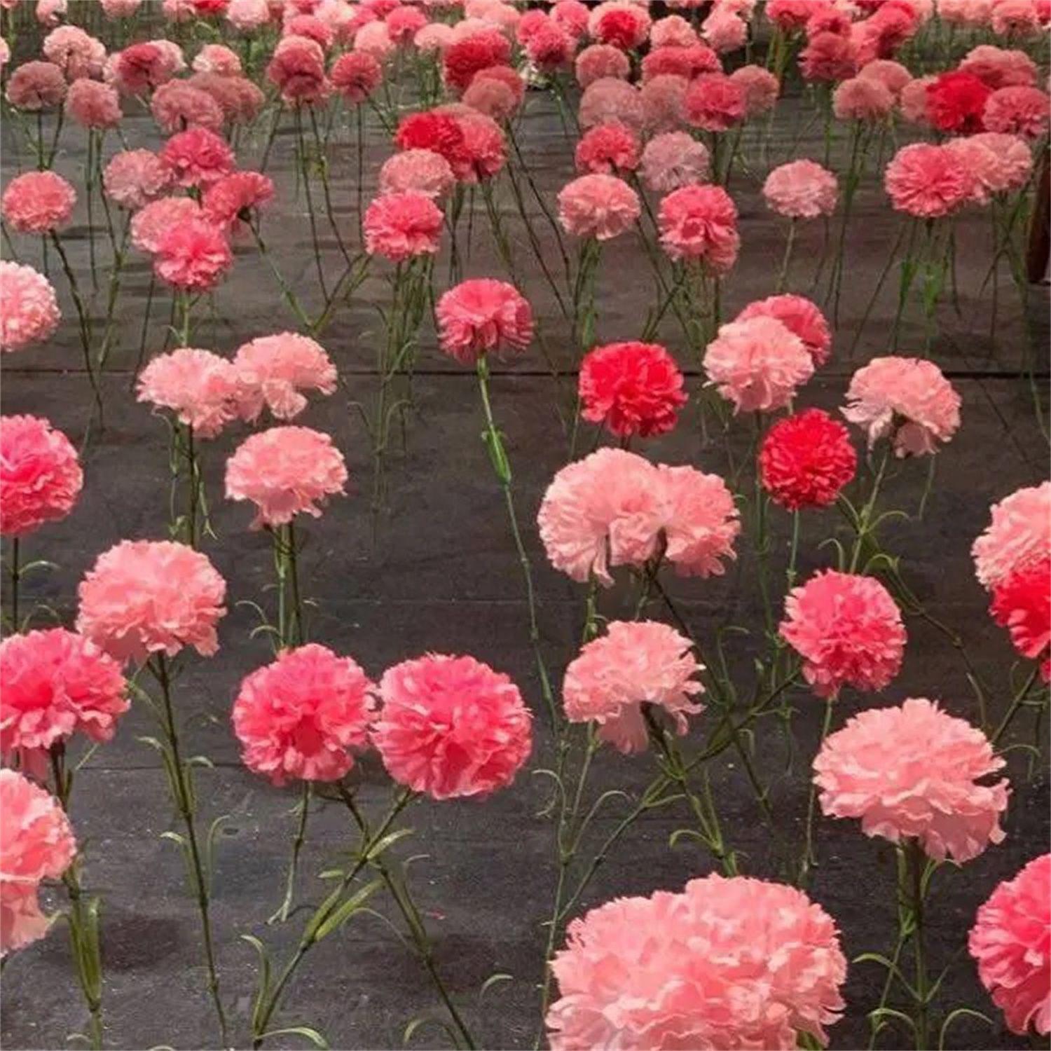 写不完的温柔
