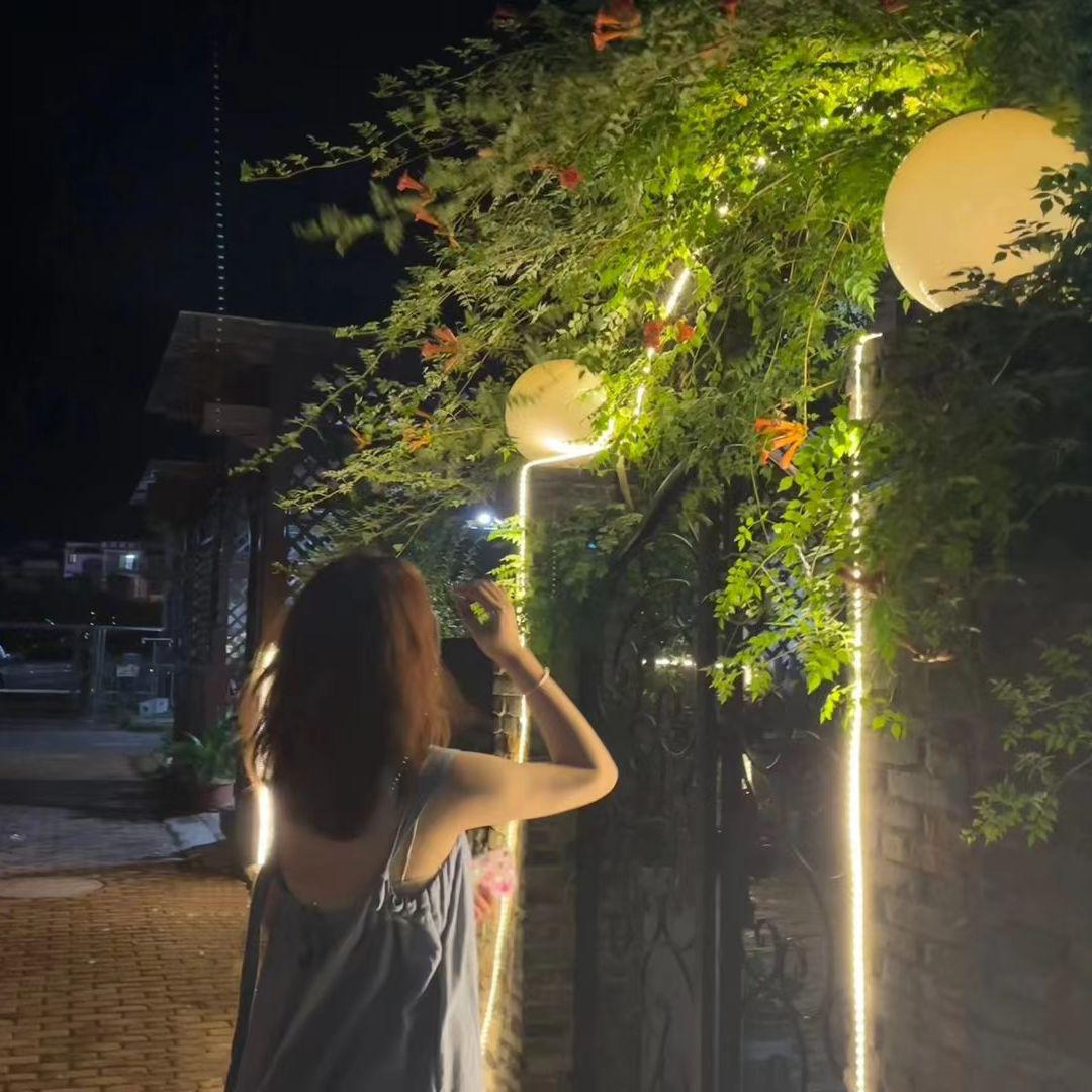 起风了