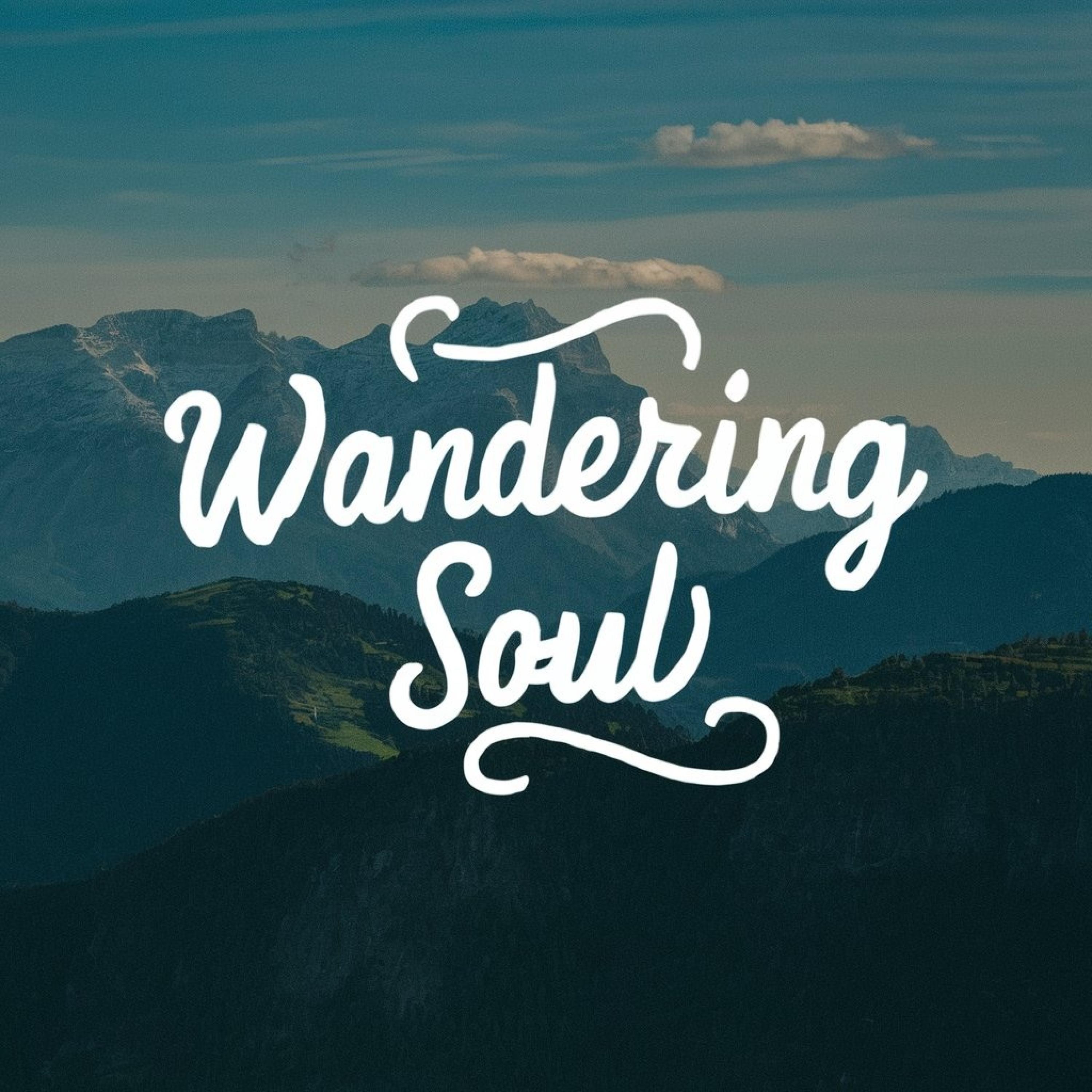 Ovi - Wandering Soul