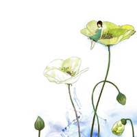 [DJ节目]读者电台的DJ节目 第53期