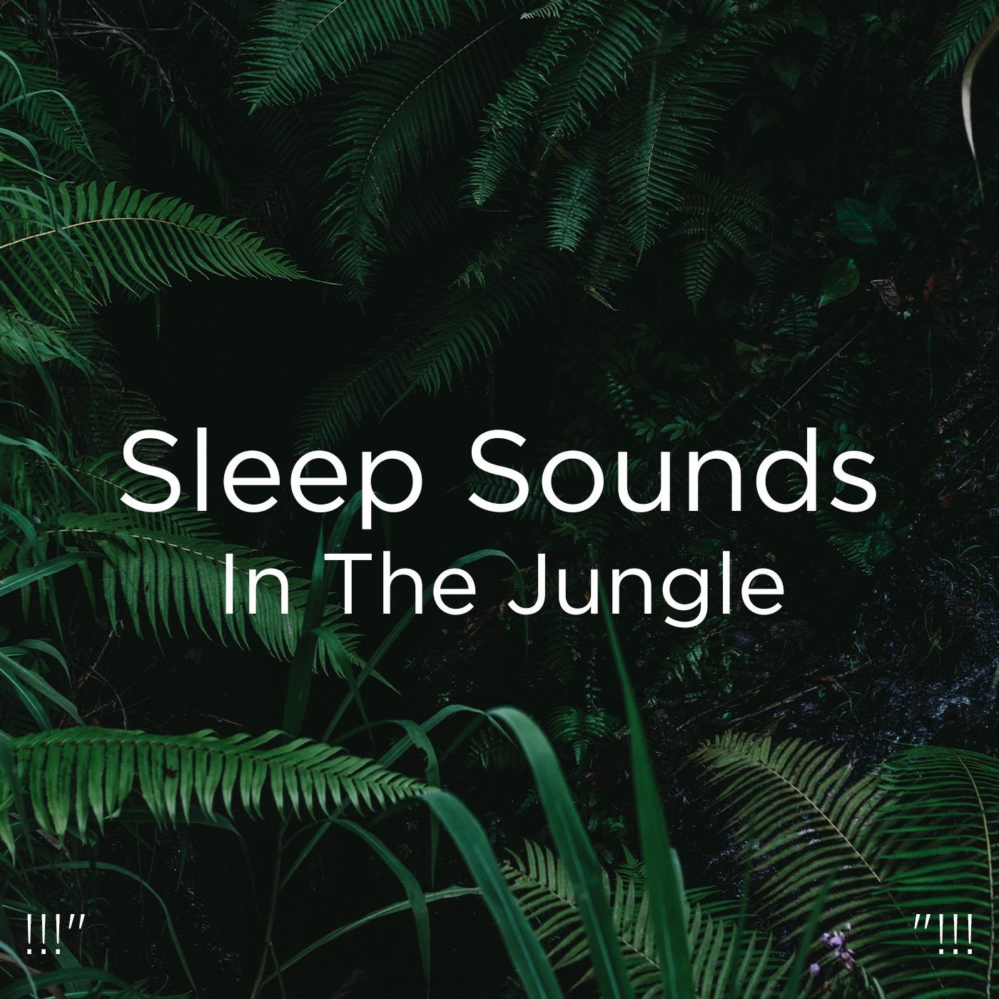 !!!" Sleep Sounds In The Jungle "!!!