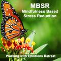 Mbsr, Mindfulness Based Stress Reduction Working with Emotions Retreat‎