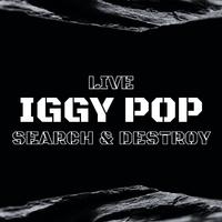 原版伴奏   Dirty Love - Ke$ha Feat. Iggy Pop (unofficial Instrumental)   [无和声]