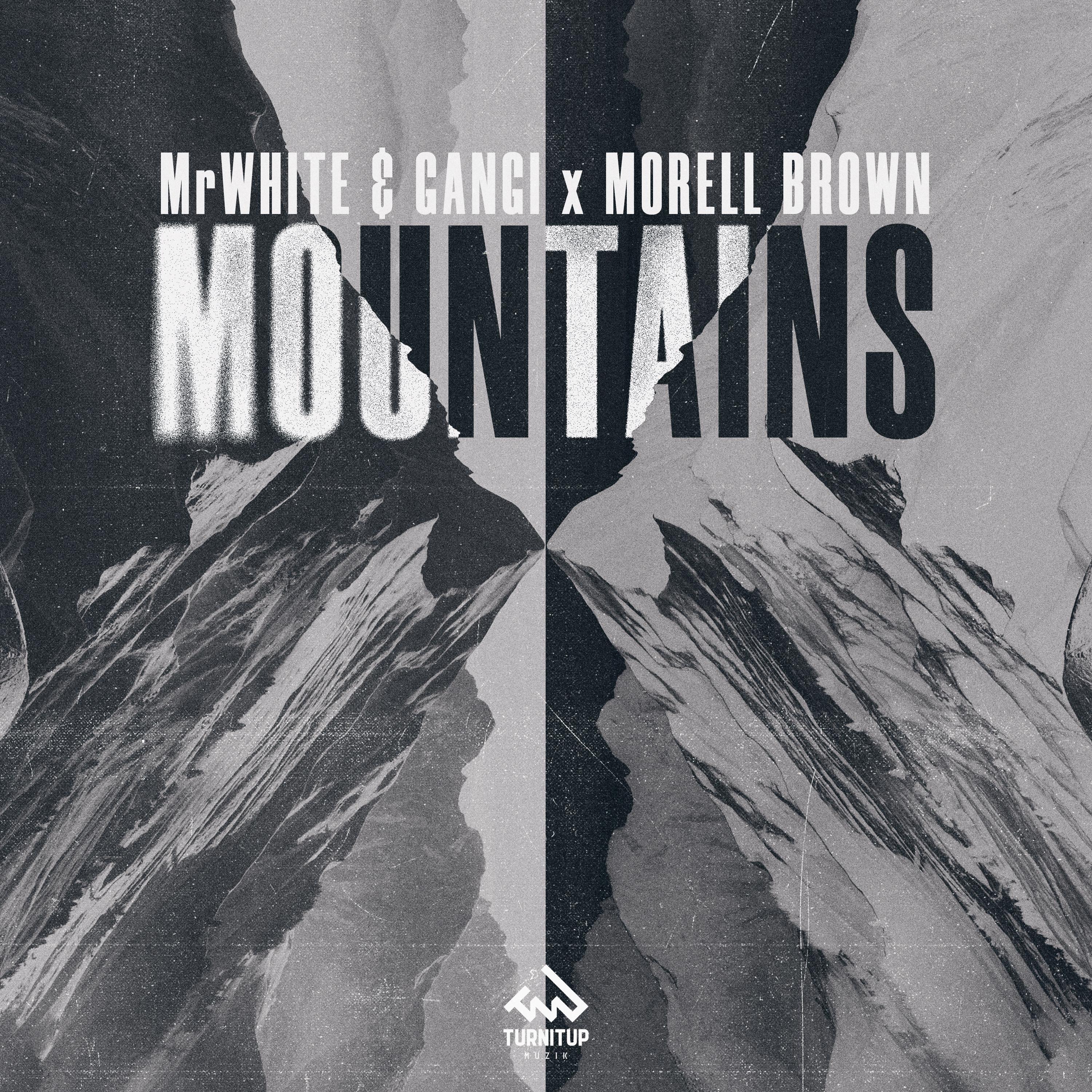 MrWhite - Mountains