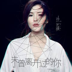 未曾离开过的你 (DJ何鹏版)