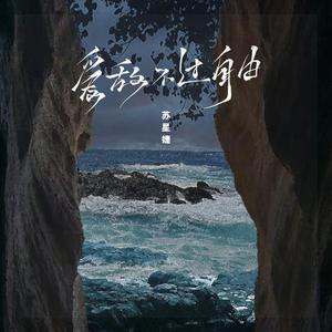 苏星婕、杨贡 - 爱敌不过自由