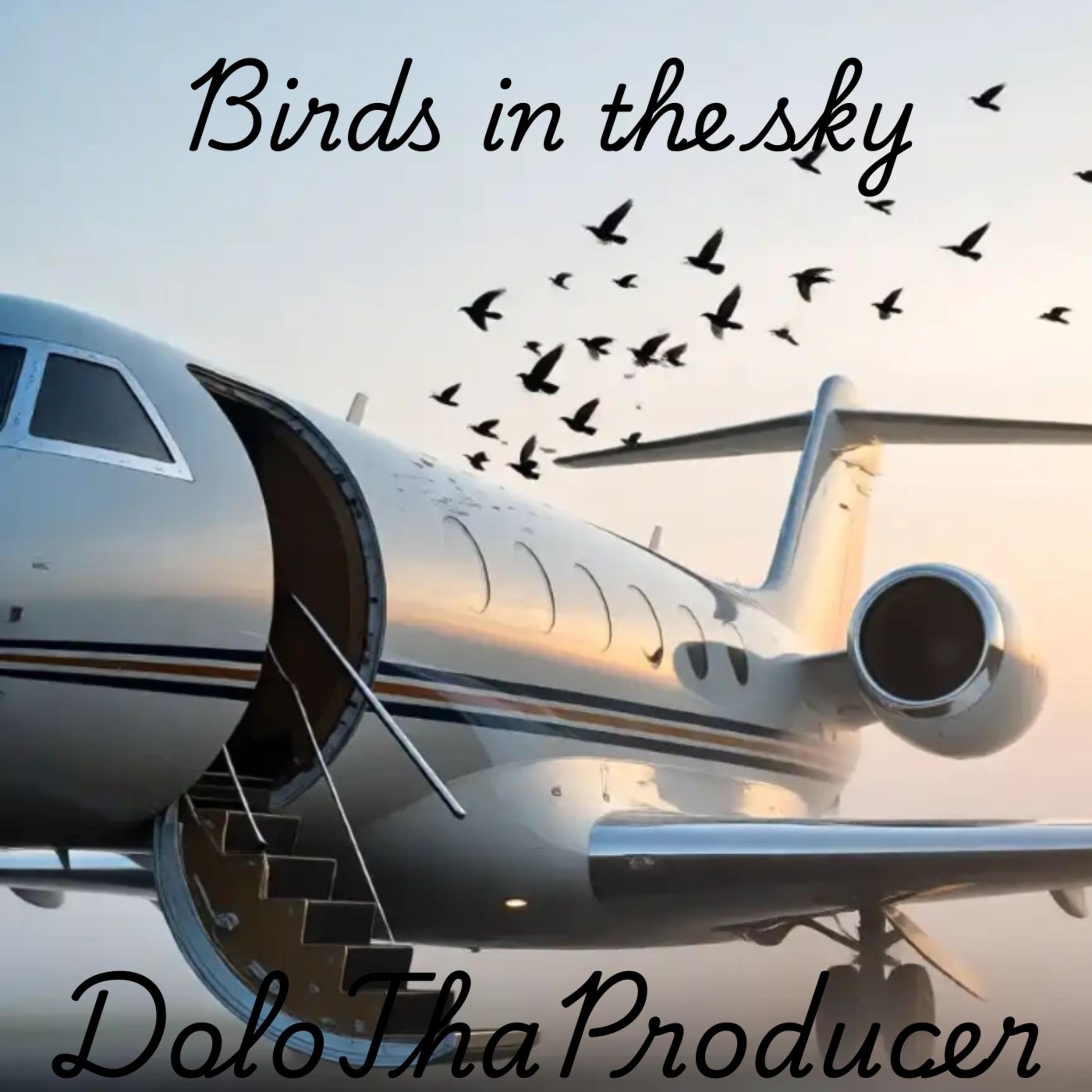 Birds In The Sky