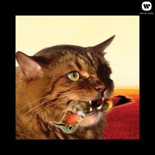 The Meowstro Sings: Guster's Keep It Together (Internet Album)