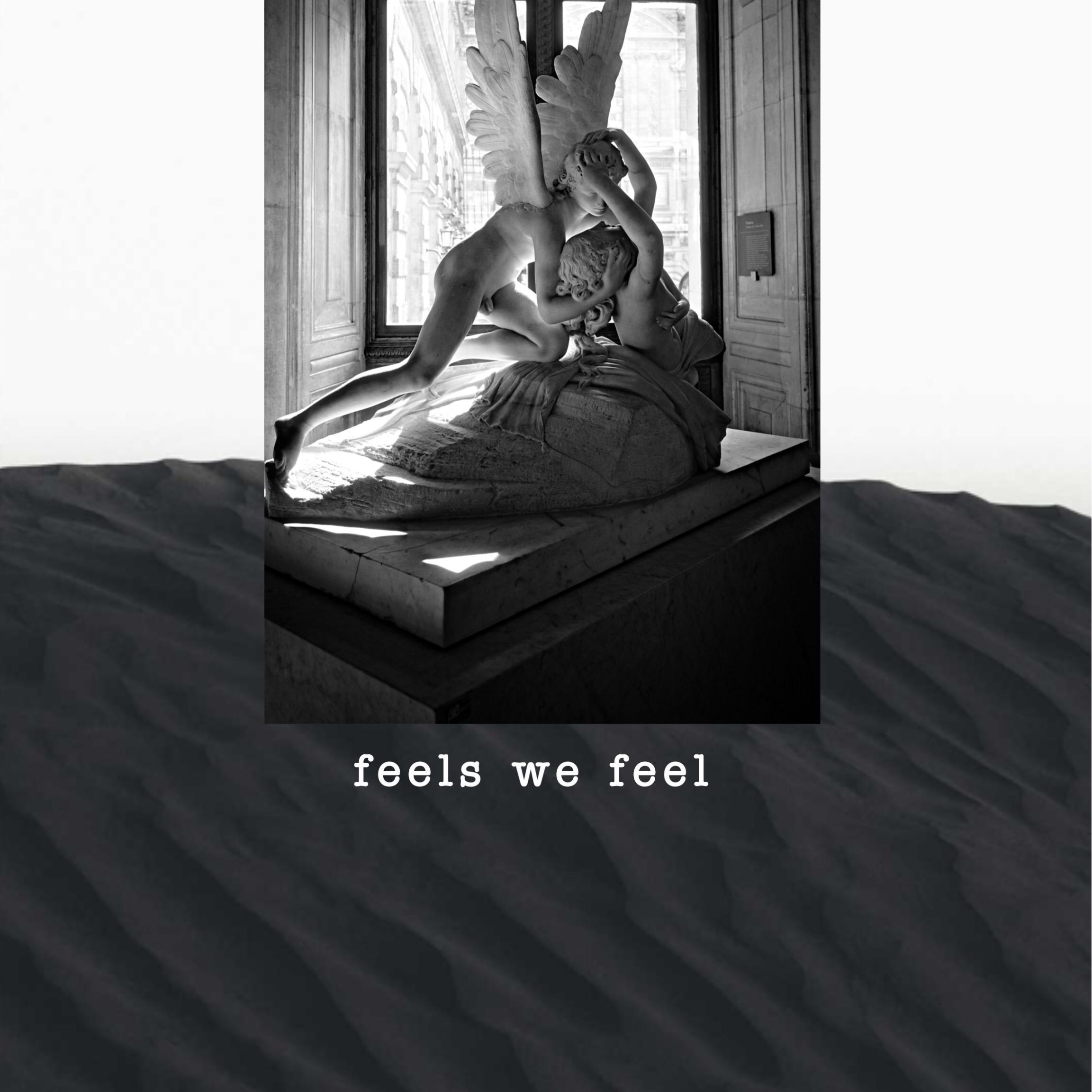 Feels We Feel专辑