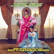 Baby, I'm Jealous (feat. Doja Cat) [Natti Natasha Remix]专辑