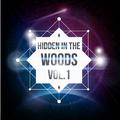 Hidden In The Woods Vol.1