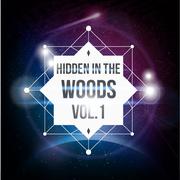 Hidden In The Woods Vol.1
