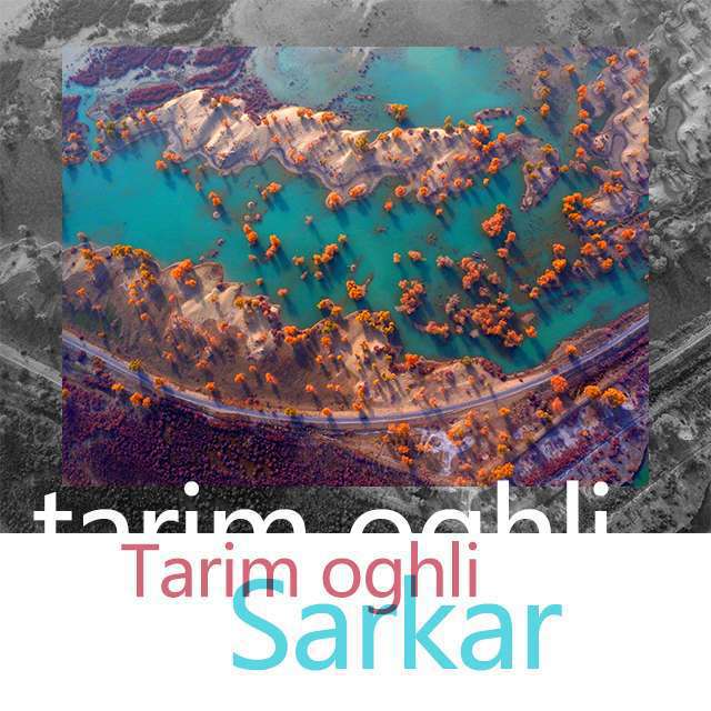 Tarim oghli专辑