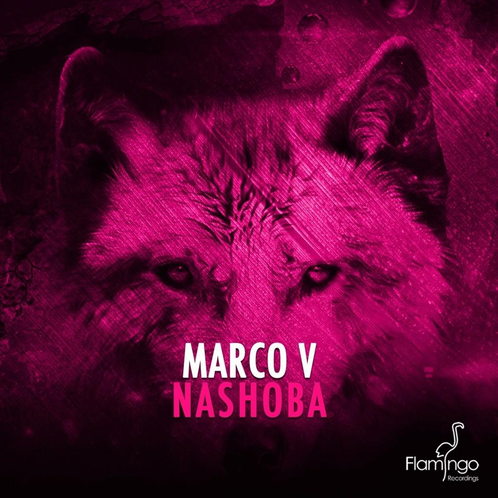 Nashoba (Thomas Newson Remix)