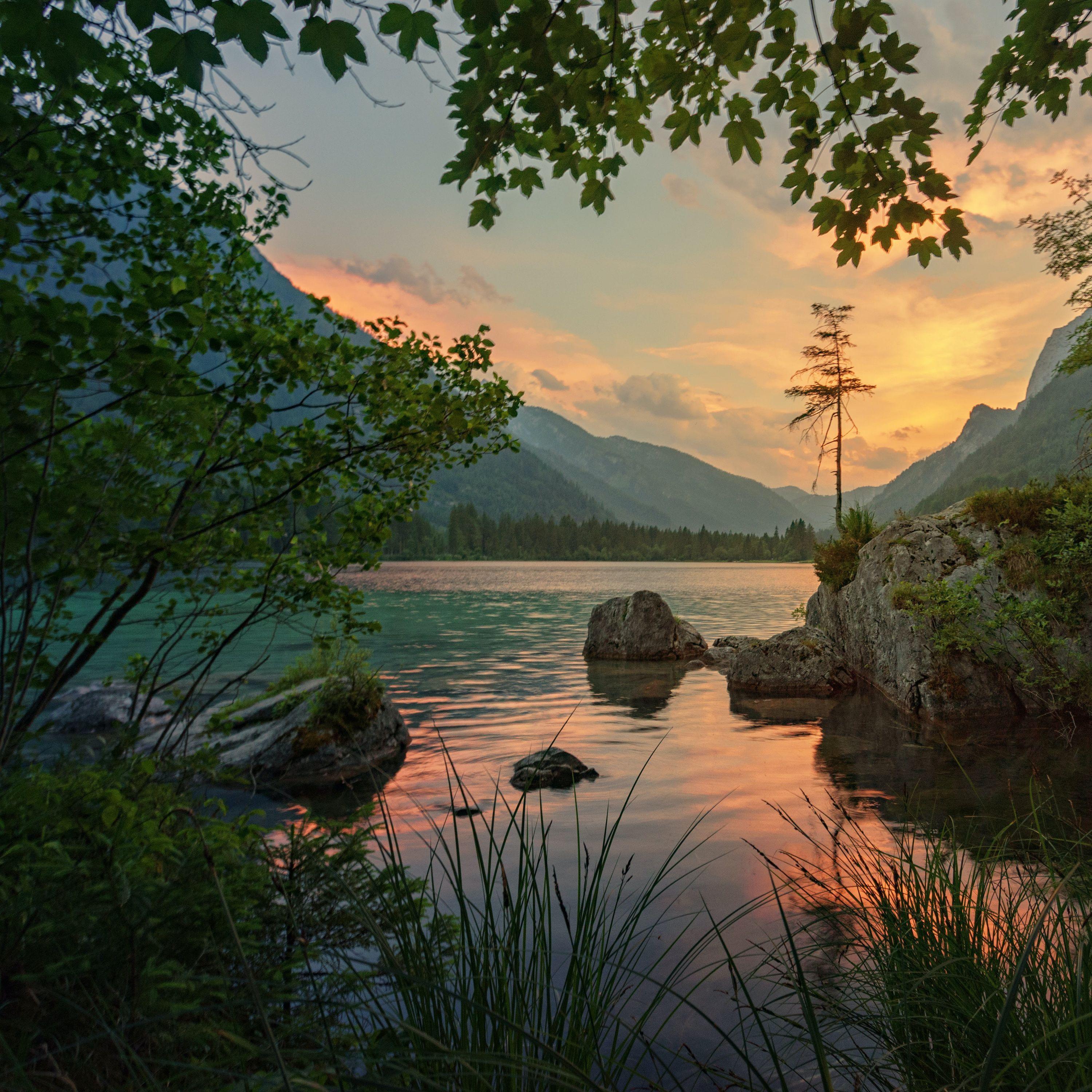 Serenity Zen Melodies