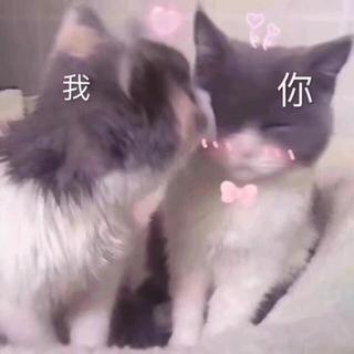 不要再让我看见你，否则见一次喜欢一次