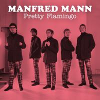 Pretty Flamingo - Manfred Mann (unofficial Instrumental)