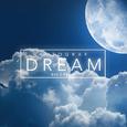 Dream (Big Z Remix) 