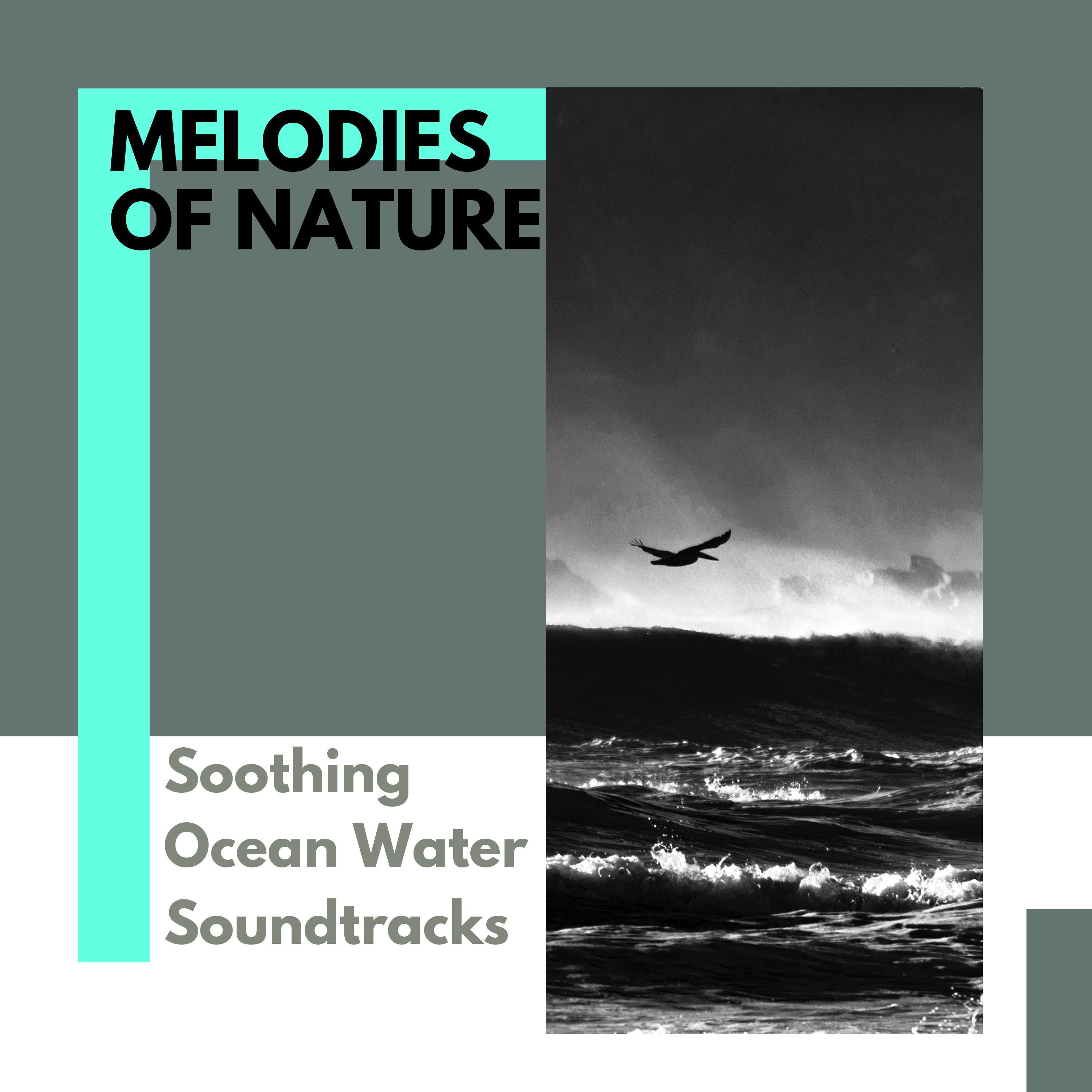 The Ocean Point Wave Music - Clarifier Waves Snow Sound