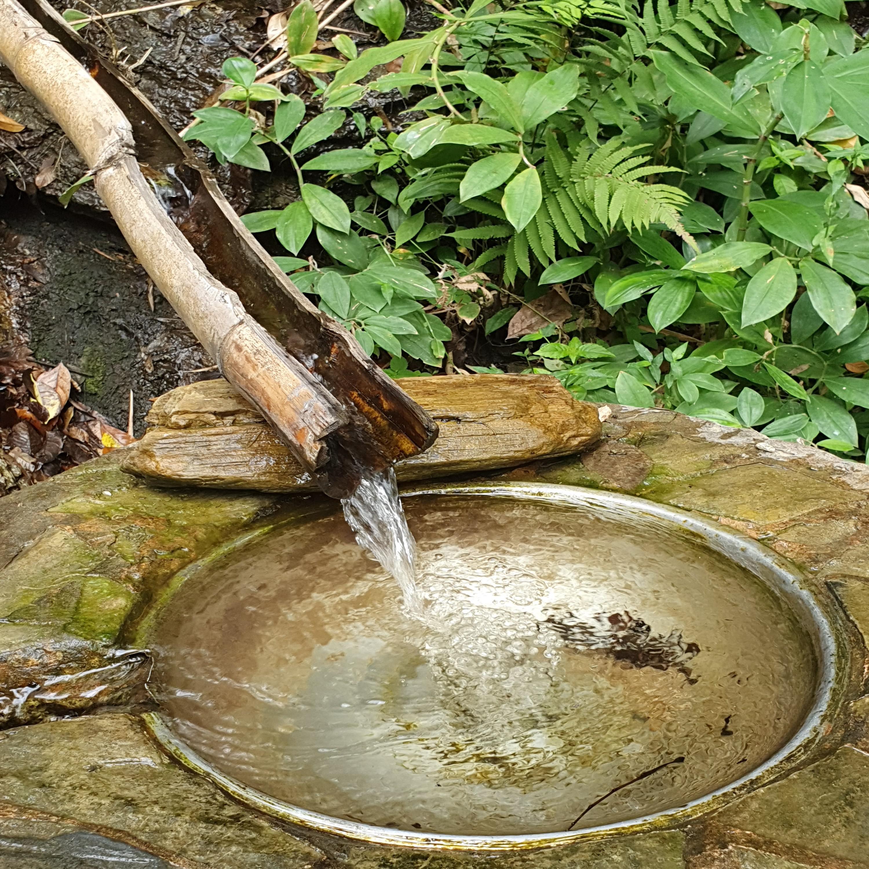 The Garden Of Lao Tze