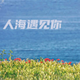 人海遇见你