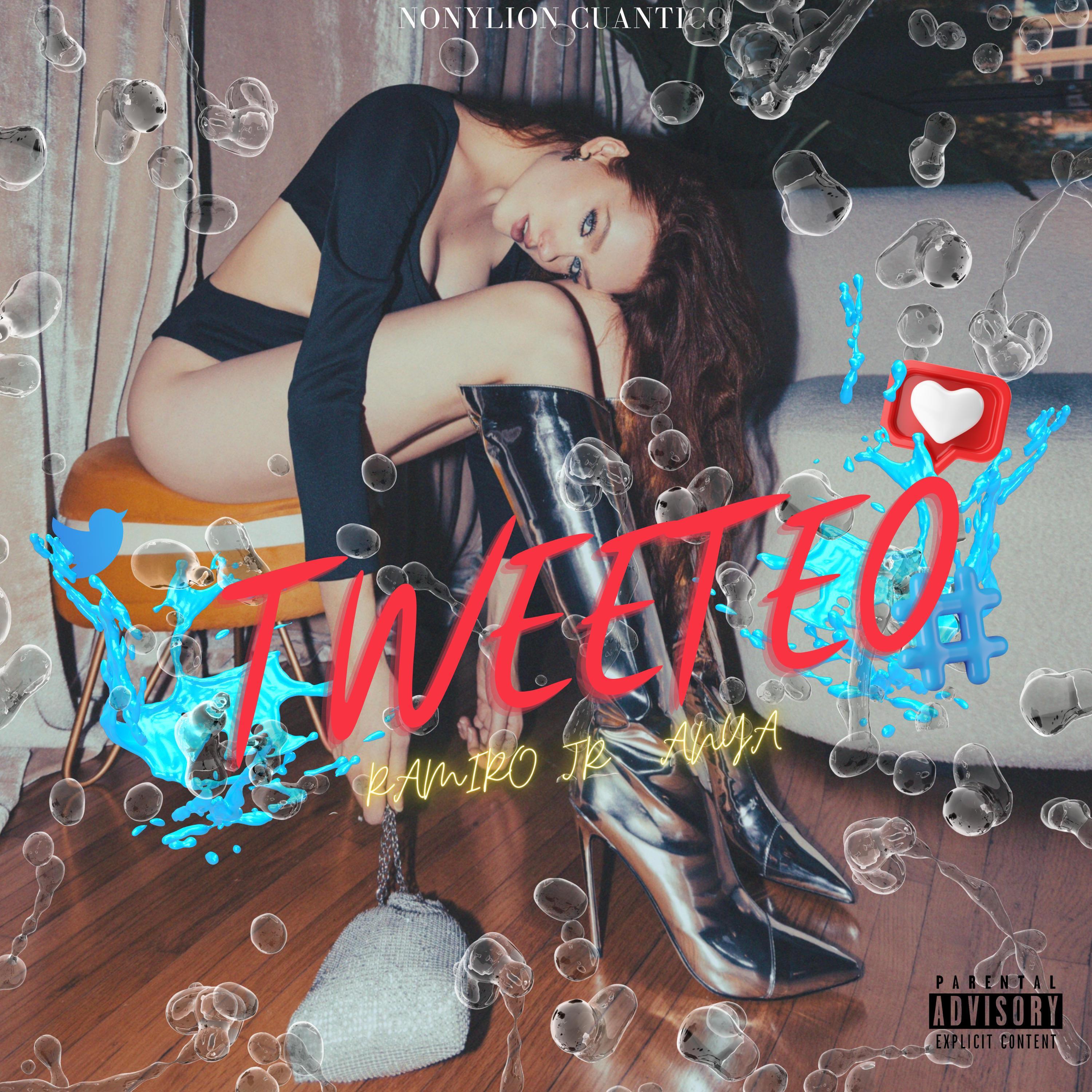 TWEETEO (feat. ANYA)