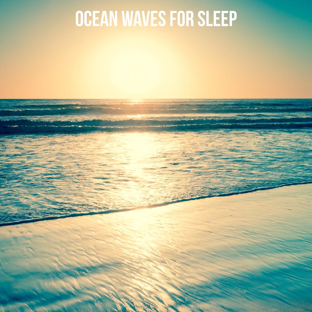 Birds Saluting the Ocean