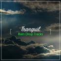 #17 Tranquil Rain Drop Tracks专辑