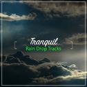 #17 Tranquil Rain Drop Tracks专辑