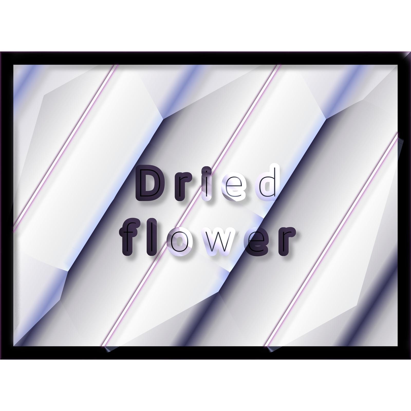 Dried flower专辑
