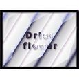 Dried flower