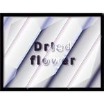 Dried flower专辑