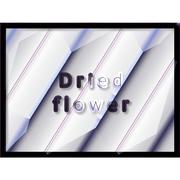 Dried flower