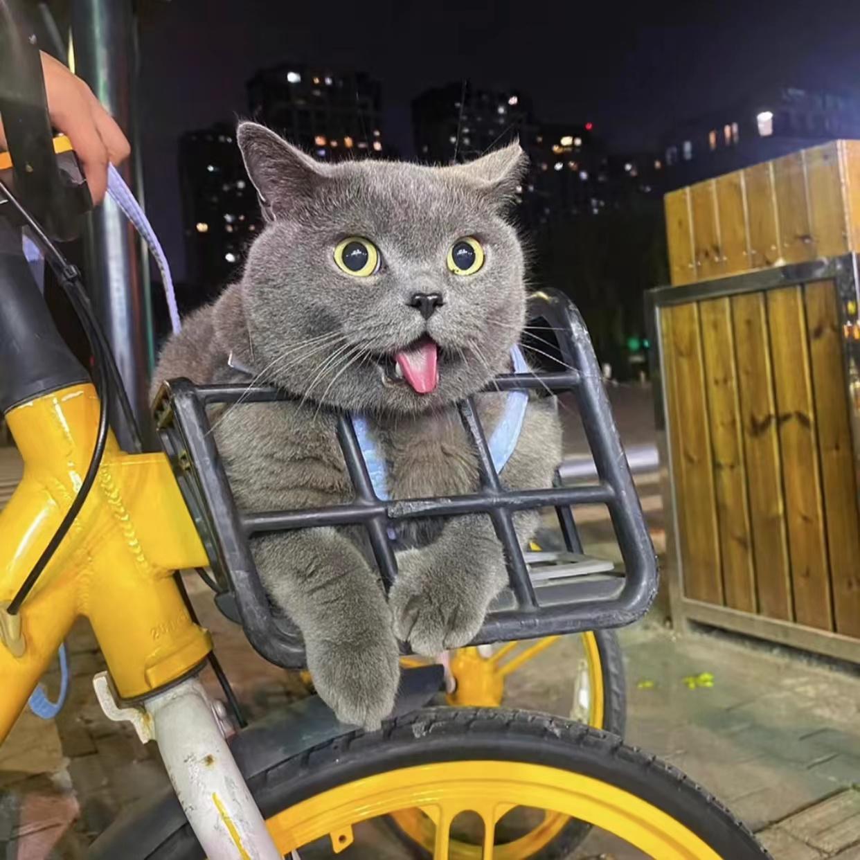 账号已注销