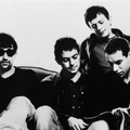 The Lightning Seeds