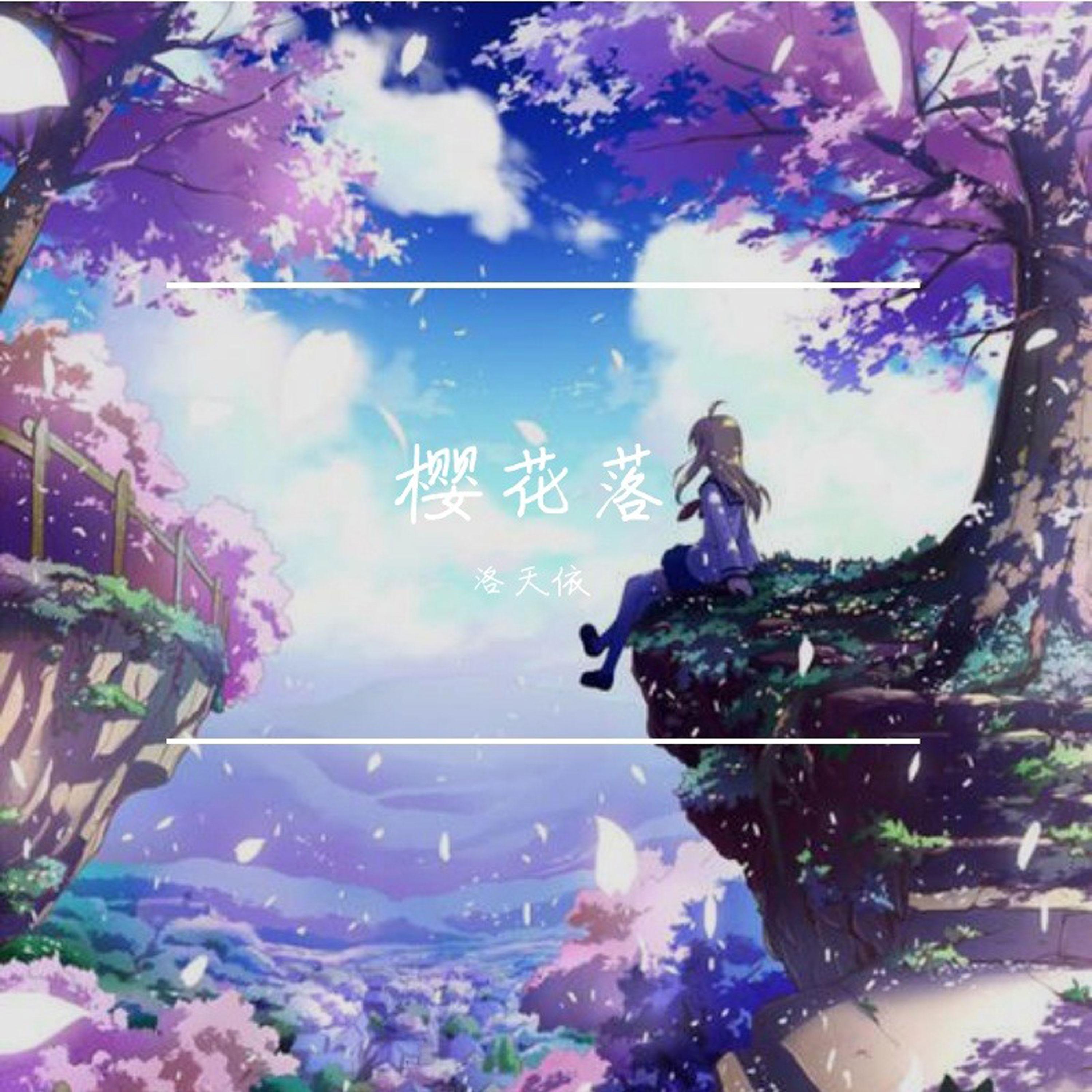 樱花落