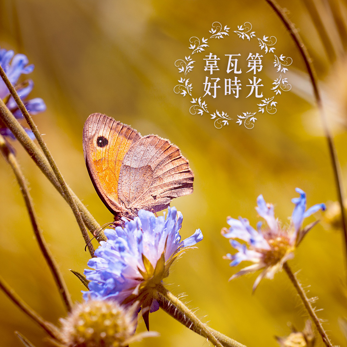 古典任意门 2：韦瓦第好时光