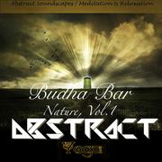 Budha Bar: Nature, Vol.1 Abstract (Abstract Soundscapes / Meditation & Relaxation)