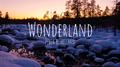 Wonderland专辑