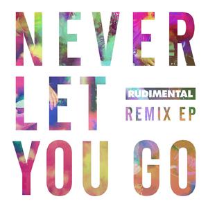Rudimental-Never Let You Go  立体声伴奏 （降7半音）