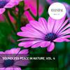 Loving Nature Sound Library - Raindrop Chimes for Mindfulness