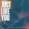 Josh Brown - Just Like You (Live)