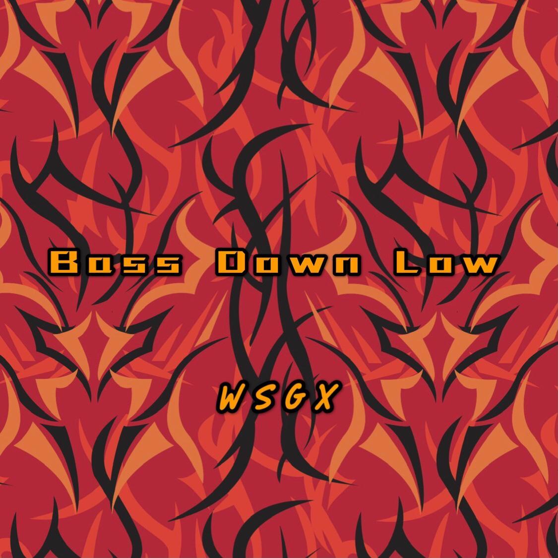 DEV-Bass Down Low（WSGX remix）